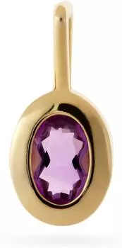 FAVS Charm Geburtsstein Februar, Amethyst, 925er Silber (89231785)