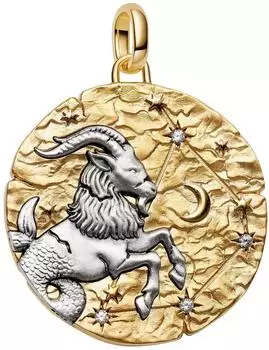 Pandora XL Medaillon Charm Sternzeichen Steinbock, Bicolor Zirkonia (764999C01)