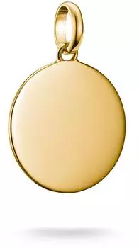 Thomas Sabo Charm-Einhänger Coin Large Connect, gelbgoldfarben (CC1273-413-39)