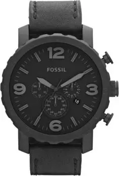 Fossil Nate (JR1354)
