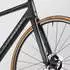 Canyon Ultimate CFR D12
