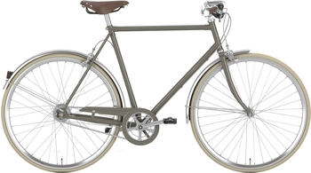 Gazelle Van Stael (2025) brown Gazelle Van Stael (2025) brown