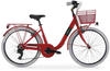 Citybike & Trekkingrad rot