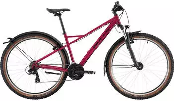Bulls Sharptail Street 1 29'' (2026) purple