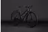 Cube Nulane Pro FE Trapez 2026 grey´n´chrome