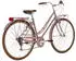 Alpina Bike Rondine 28