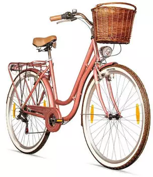 Bergsteiger Marseille 26" rose