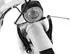 DaCapo Ravenna 6 28'' (2026) white