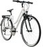 KS-CYCLING Canterbury 2020 28 Zoll RH 53 cm Tourenlenker Damen weiß matt