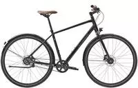 Diamant Bikes Diamant 247 Men black (28) 2021