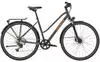 Citybike & Trekkingrad grau