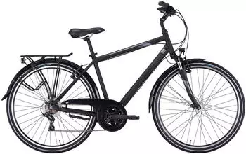 Pegasus Citybike & Trekkingrad