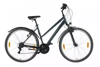 Pegasus Avanti Sport 18 (2022) trapez graphite grey