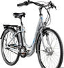 Citybike & Trekkingrad grau