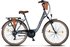 Licorne Bike Violetta Premium City Bike grey