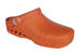 Scholl Clog Evo