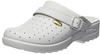 Scholl Clogs