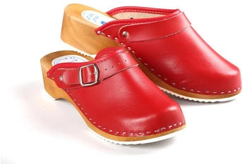 Aves-24 Holzschuhe