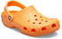 Crocs Classic Clog (10001) cantaloupe