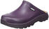 Aigle Corlay