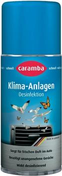 Caramba Klimaanlagen Desinfektion (100 ml)