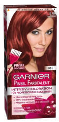 Garnier Pinsel Farbtalent 6.60 Intensivrot