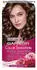 Garnier Color Intense