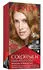 Revlon Colorsilk Beautiful Color