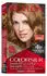Revlon Colorsilk Beautiful Color