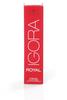 Schwarzkopf Professional Igora Royal Golds Permanente Färbung 60 ml 6-4 Dunkelblond