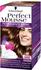 Schwarzkopf Perfect Mousse