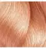 L'Oréal Professionnel Dialight 10.24 Platin Blond Irisé Kupfer (60ml)