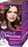 Schwarzkopf Perfect Mousse