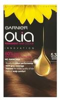 Garnier Olia Haarfarbe 5.3 Goldbraun
