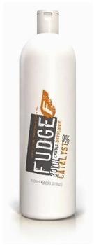 Fudge Catalyst Volume 30, 9% Oxidant 1000 ml