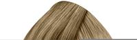 LOreal L'Oreal Professionnel DIALight 10.01 Milkshake Platinblond Leicht Asch (60