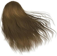 Syoss Oleo Intense Permanent-Haarfarbe mit &Ouml;l Farbton 5-86 Sweet Brown 1 St.,