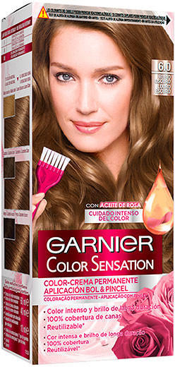 Garnier Pinsel Farbtalent 6.0