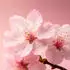 Rituals The Ritual Of Sakura Körperspray