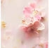 Rituals The Ritual of Sakura Body Cream Refill Körpercreme 220 ml Damen