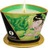 Shunga Massage Candle Exotic Green Tea (170g)
