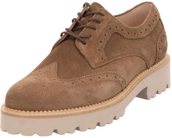 Gabor Velour farro dust elegante Schnürer beige