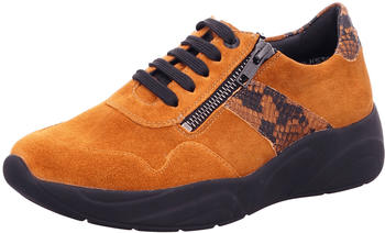 Solidus orange 431455