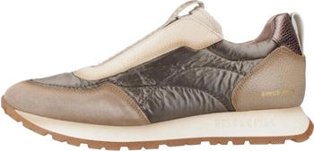 Hispanitas Kansas Bolmet (CHI254312) leder