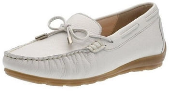 Ara Alabama cream