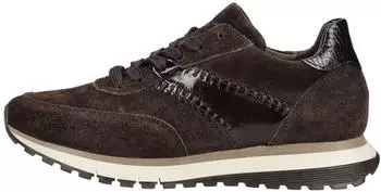 Gabor Sneaker low (6029.01) mocca