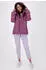 Alife & Kickin RaianaAK A Jacket (11108-2202) mulberry