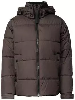 Cecil Steppjacke mit Kapuze und Rei&szlig;verschluss (CCB20227117754) braun