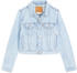 Levi's Trucker Jacket (A3480) light blue used