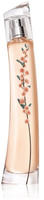 Kenzo Flower Ikebana Mimosa Eau De Parfum 75 ml Damen, Grundpreis: &euro; 717,33 / l